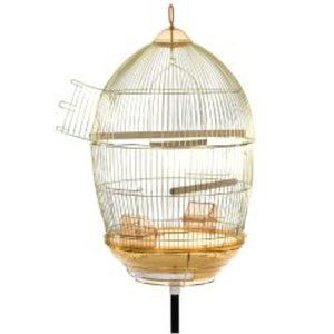 New Golden Bird 🐦 Cage with Iron Stand